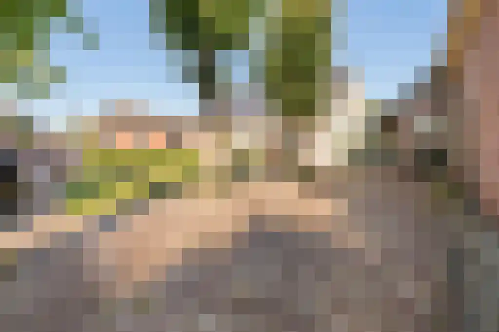 Brink 43 Ruinen thumbnail 61