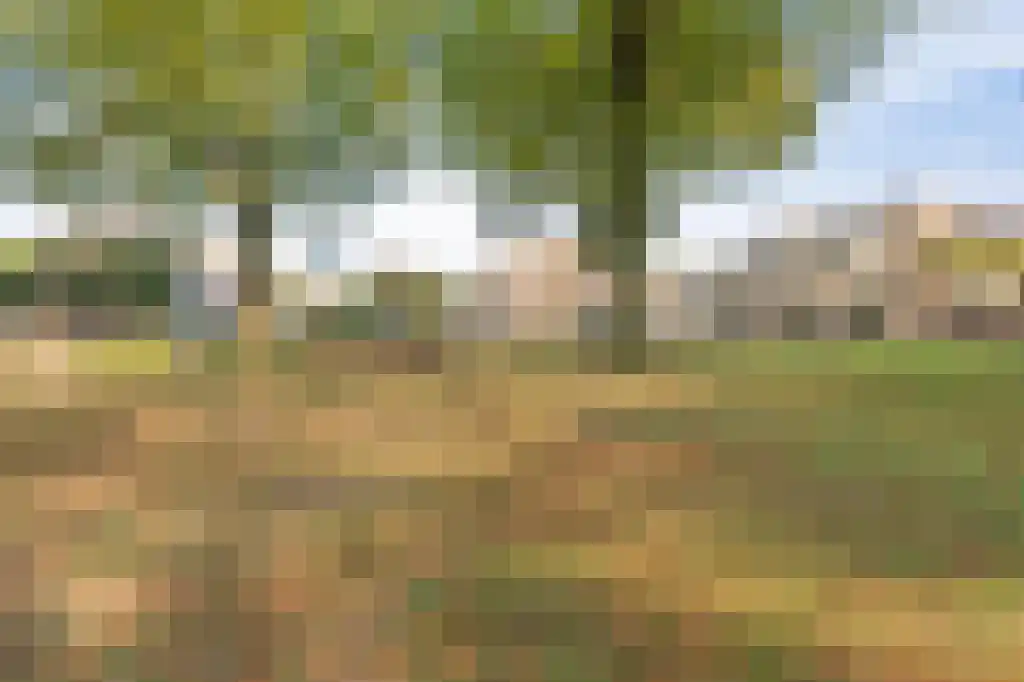 Brink 43 Ruinen thumbnail 77
