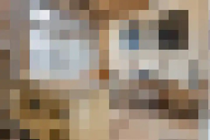 Brink 5 Bathmen thumbnail 16