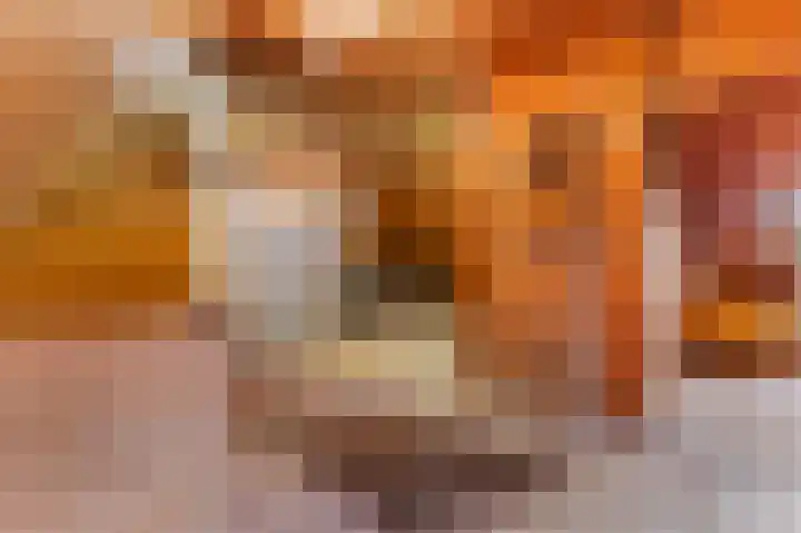 Brink 5 Bathmen thumbnail 29