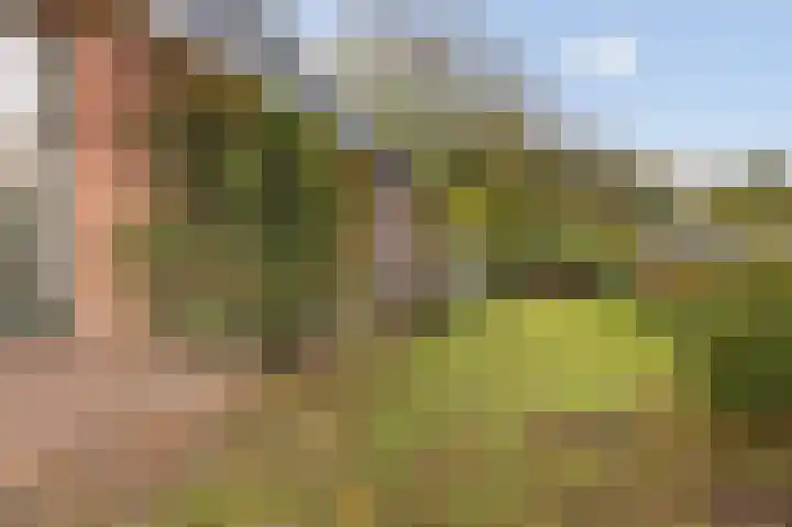 Brink 5 Bathmen thumbnail 34