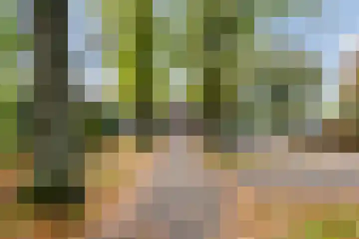 Brink 5 Bathmen thumbnail 35