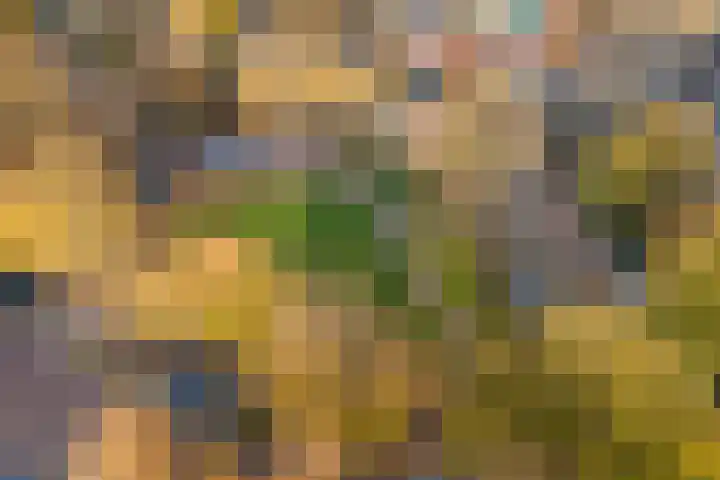 Brink 5 Bathmen thumbnail 37