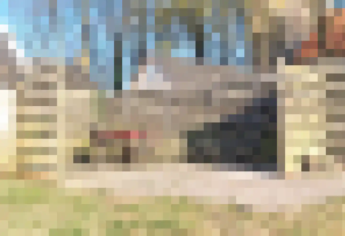 Brink 7 Vries thumbnail 33