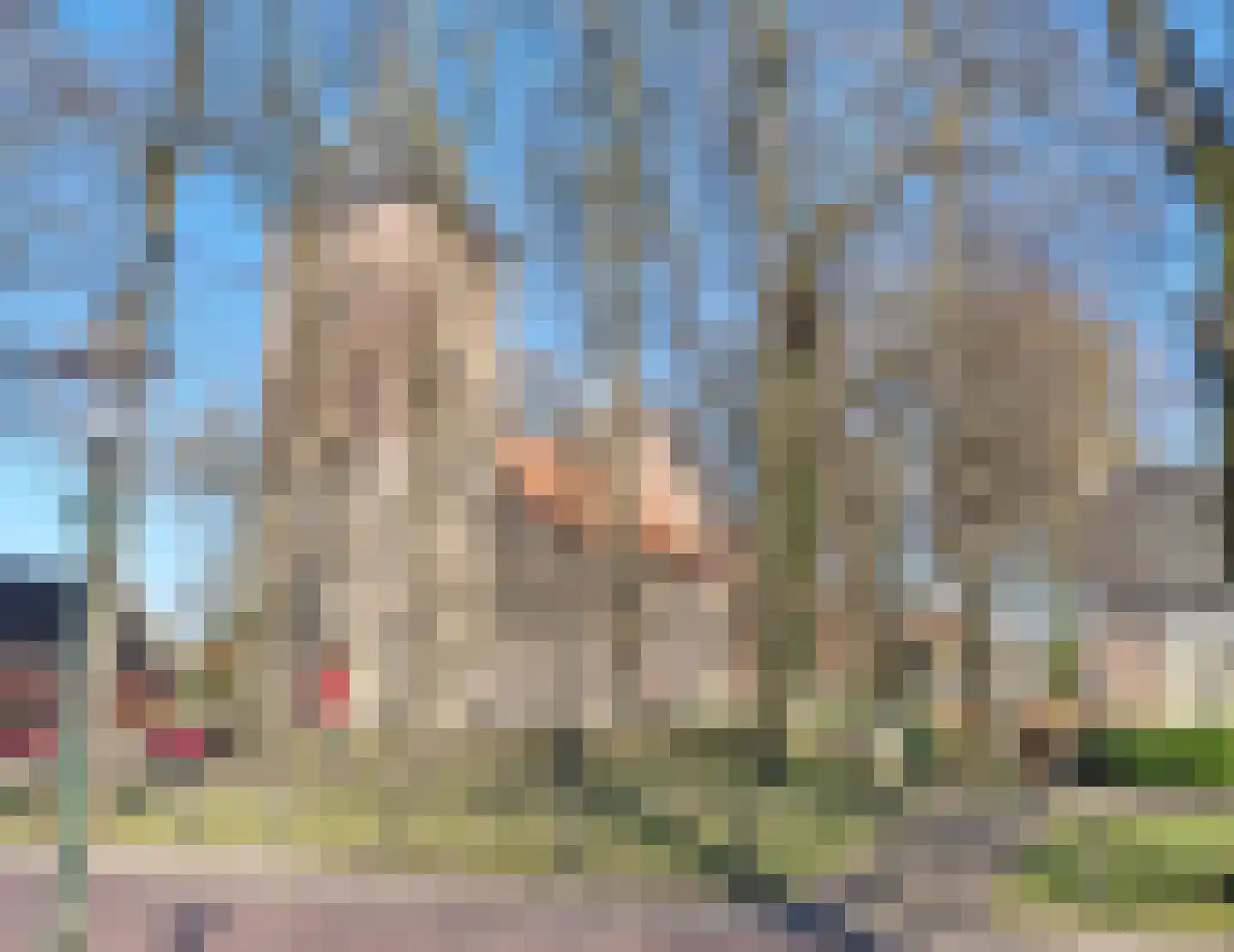 Brink 7 Vries thumbnail 47