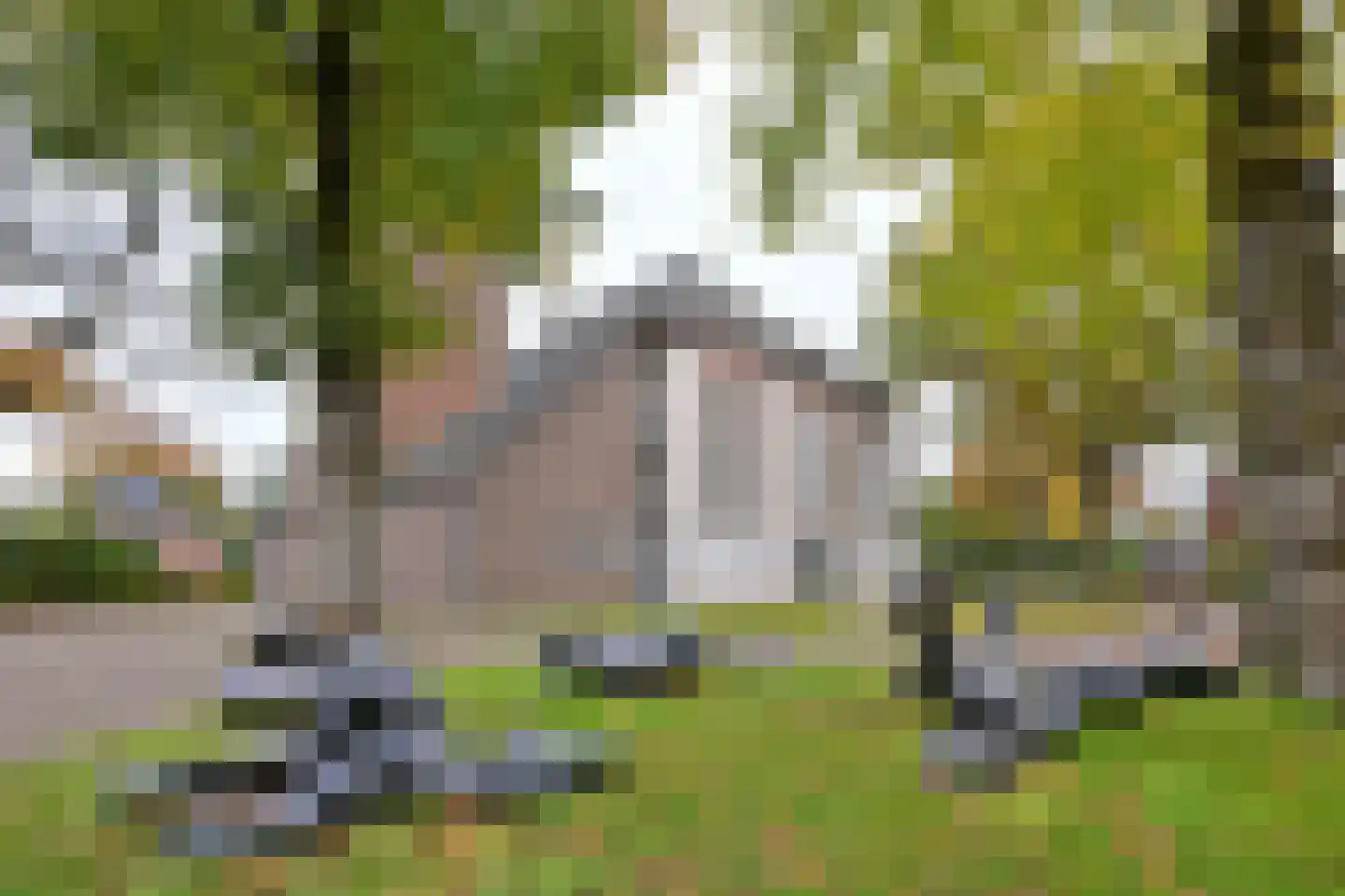 Brink 8 B Bathmen thumbnail 17