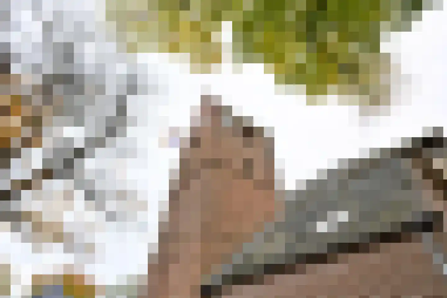 Brink 8 B Bathmen thumbnail 18