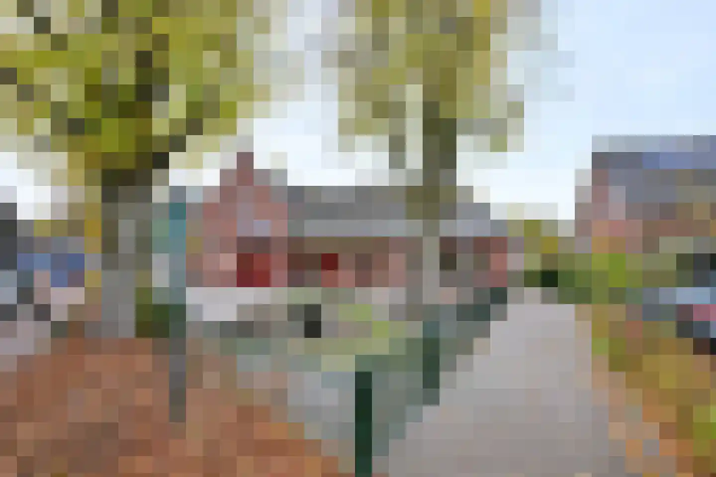 Brink 8 B Bathmen thumbnail 22