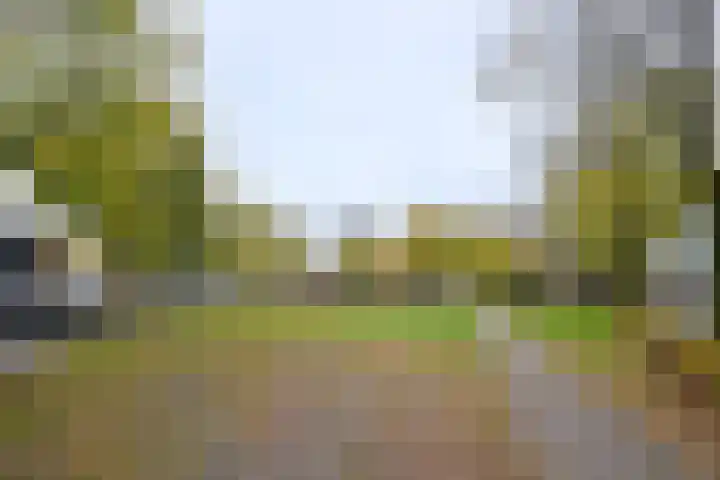 Brink 8 Bathmen thumbnail 11