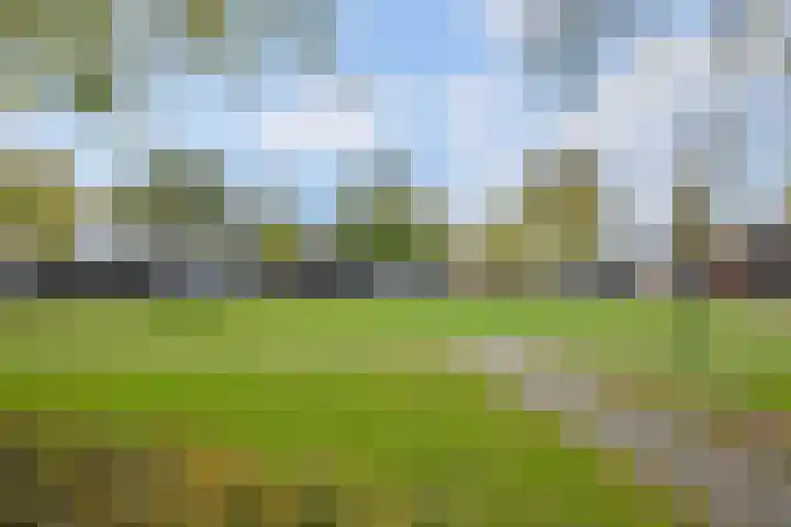 Brink 8 Bathmen thumbnail 12