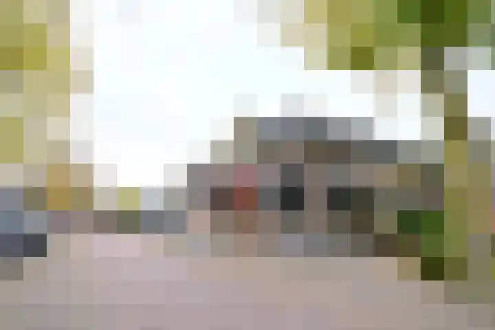 Brink 8 Bathmen thumbnail 15