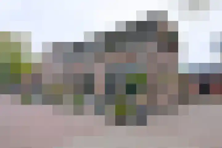 Brink 8 Bathmen thumbnail 20