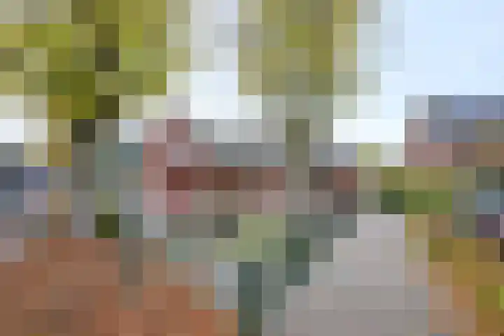 Brink 8 Bathmen thumbnail 21