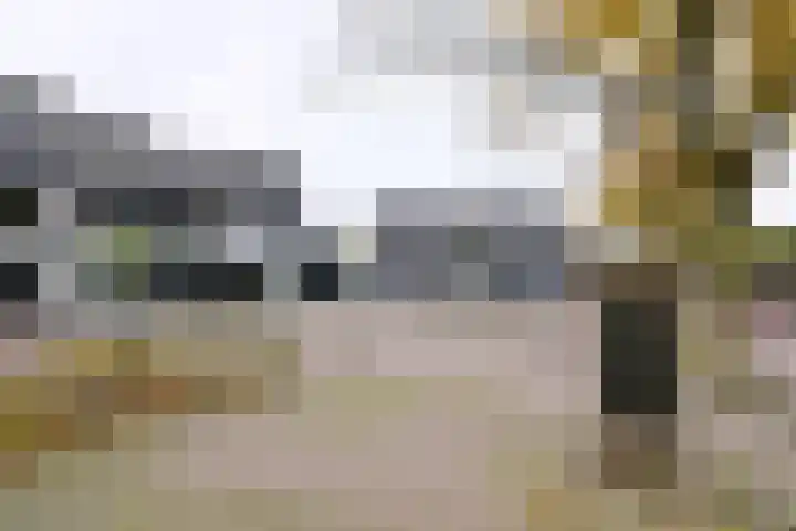 Brink 8 Bathmen thumbnail 5