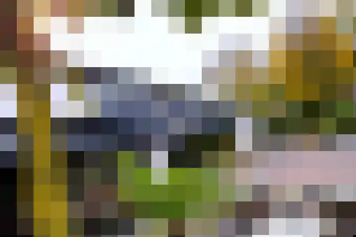 Brink 8 Bathmen thumbnail 7