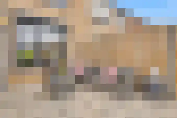 Brink 8 Tynaarlo thumbnail 14