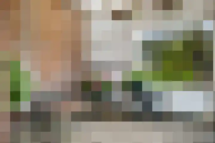 Brink 8 Tynaarlo thumbnail 21