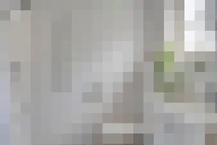 Brink 9 Roden thumbnail 20