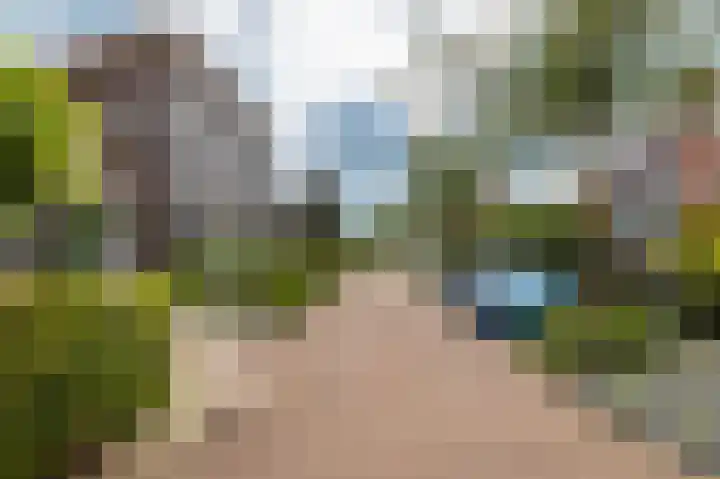 Brink 9 Roden thumbnail 28