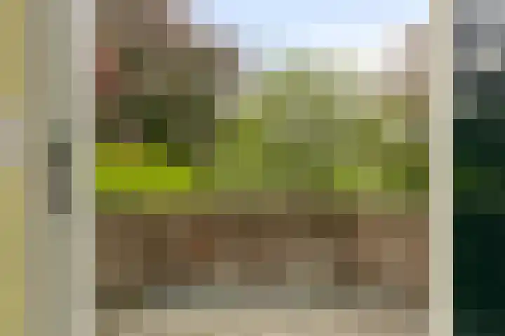 Brink 9 Roden thumbnail 28
