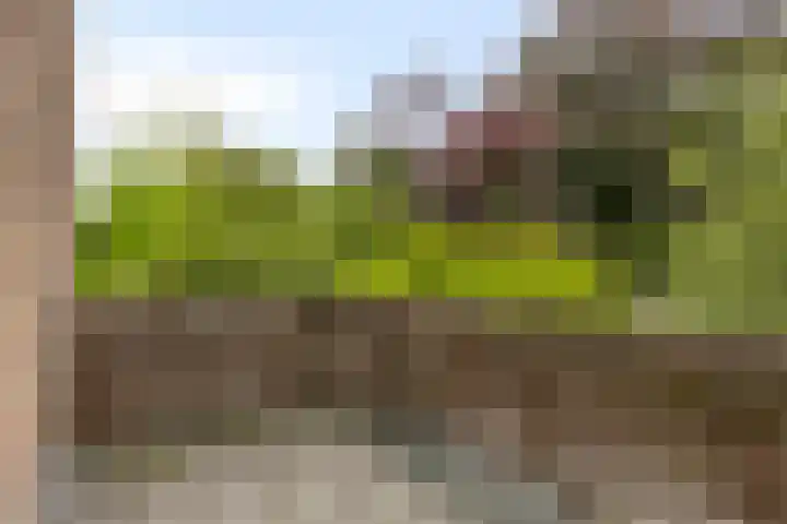 Brink 9 Roden thumbnail 29