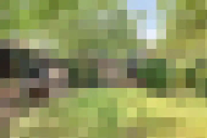 Brink 9 Roden thumbnail 37