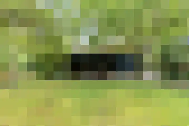 Brink 9 Roden thumbnail 39