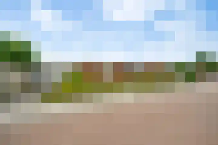 Brink 9 Roden thumbnail 4