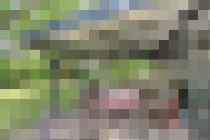 Brink 9 Roden thumbnail 40
