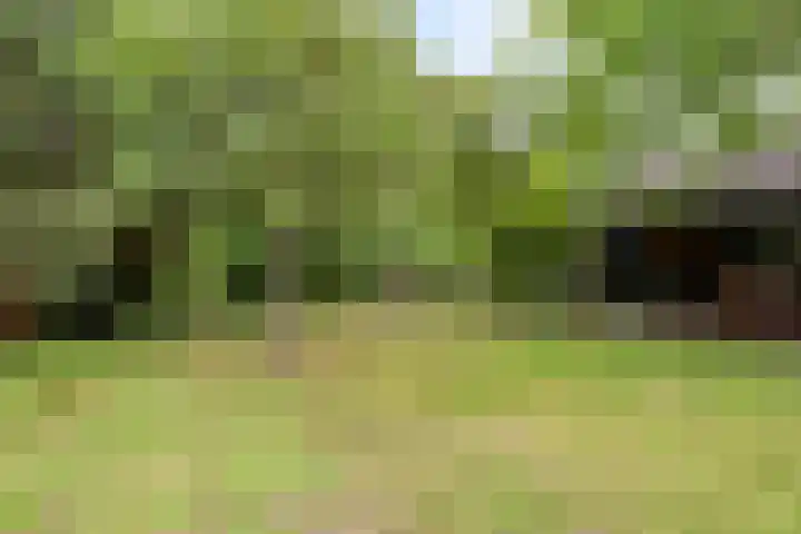 Brink 9 Roden thumbnail 41