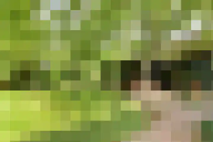Brink 9 Roden thumbnail 42