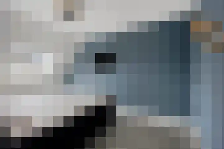 Brink 9 Roden thumbnail 43