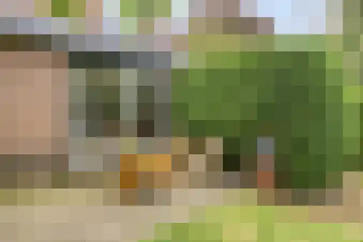 Brink 9 Roden thumbnail 43