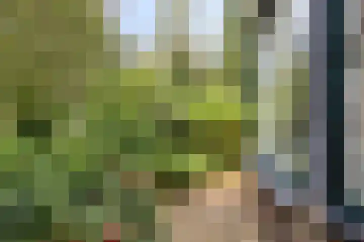 Brink 9 Roden thumbnail 44