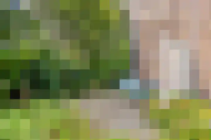 Brink 9 Roden thumbnail 45
