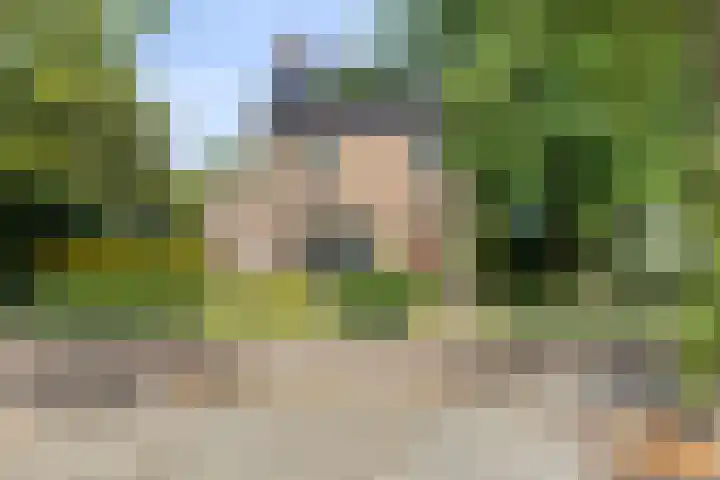 Brink 9 Roden thumbnail 50