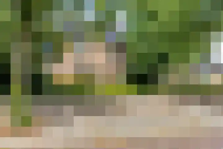 Brink 9 Roden thumbnail 51