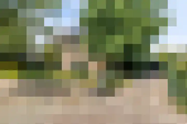 Brink 9 Roden thumbnail 52