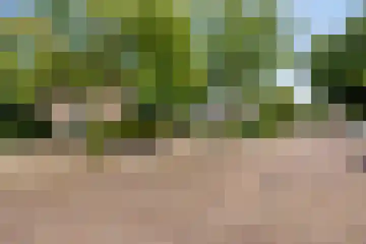 Brink 9 Roden thumbnail 53