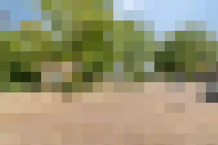 Brink 9 Roden thumbnail 54