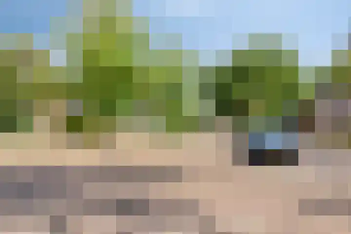 Brink 9 Roden thumbnail 55