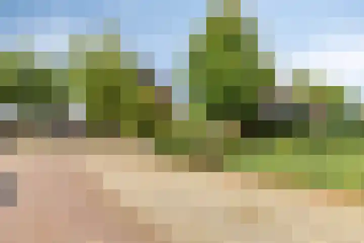 Brink 9 Roden thumbnail 57
