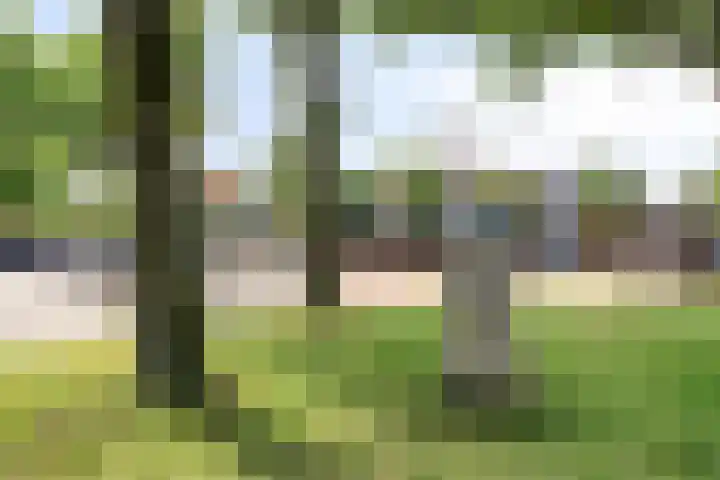 Brink 9 Roden thumbnail 58