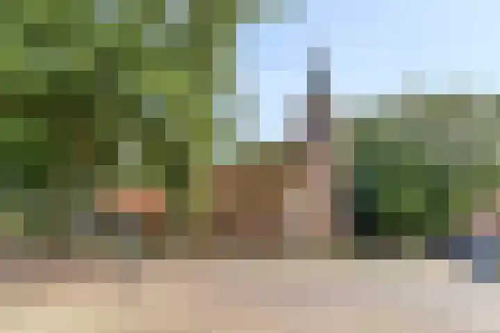 Brink 9 Roden thumbnail 59