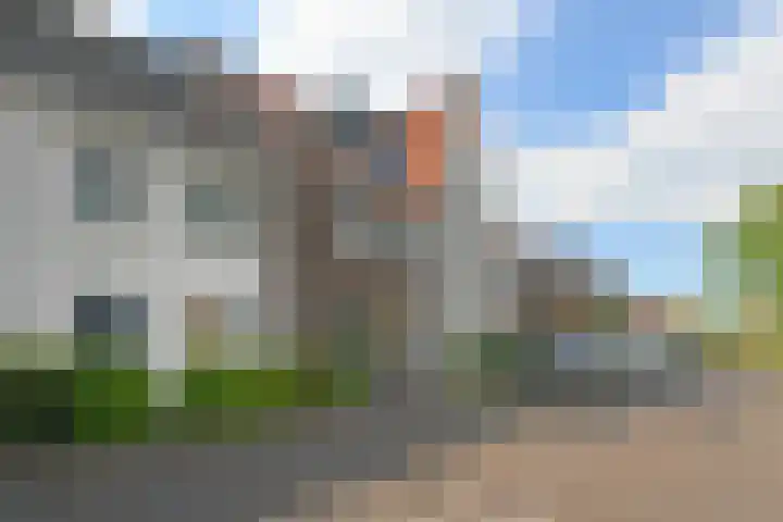 Brink van Kruimeltje 9 en Pijnacker