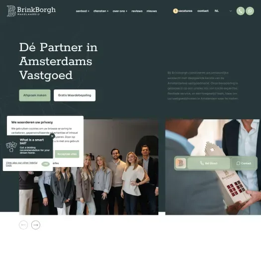 Screenshot van de website van www.brinkborgh.nl