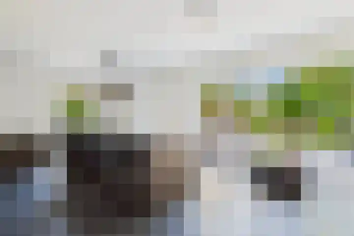 Brinkdreef 3 Clinge thumbnail 13