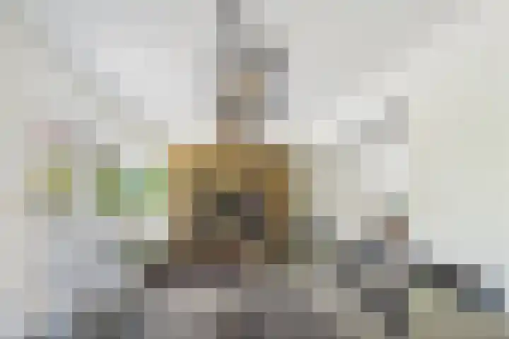 Brinkdreef 3 Clinge thumbnail 14