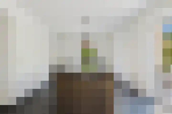 Brinkdreef 3 Clinge thumbnail 15