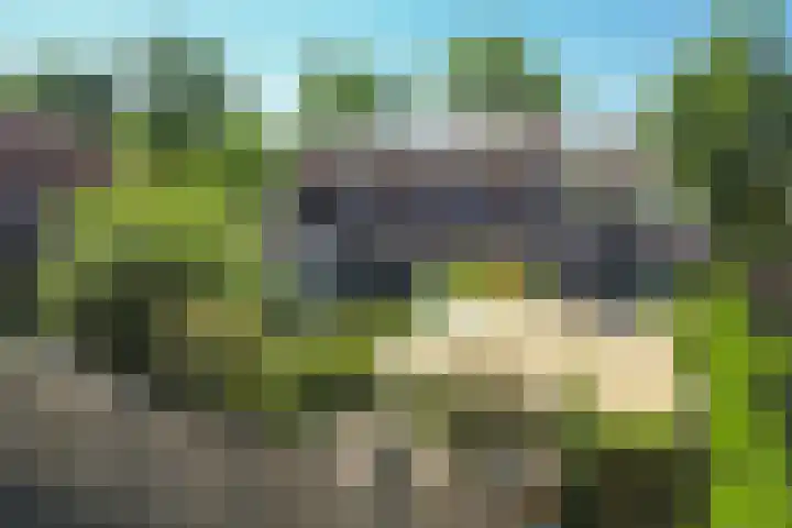 Brinkdreef 3 Clinge foto 2